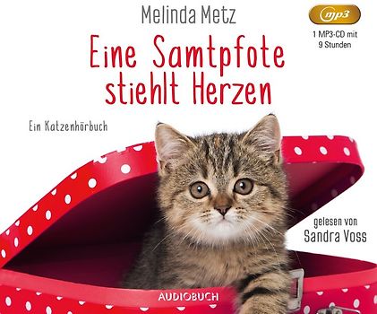 Eine Samtpfote stiehlt Herzen