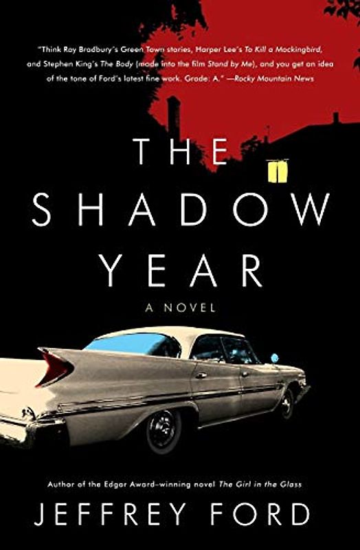 The Shadow Year: A Novel