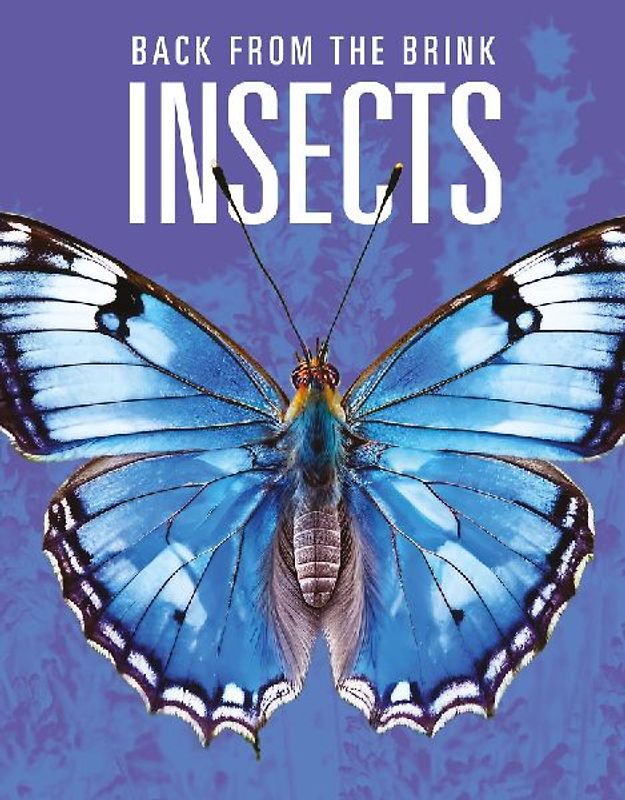 Insects: Back from the Brink