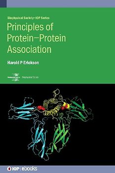Principles of Protein-Protein Association