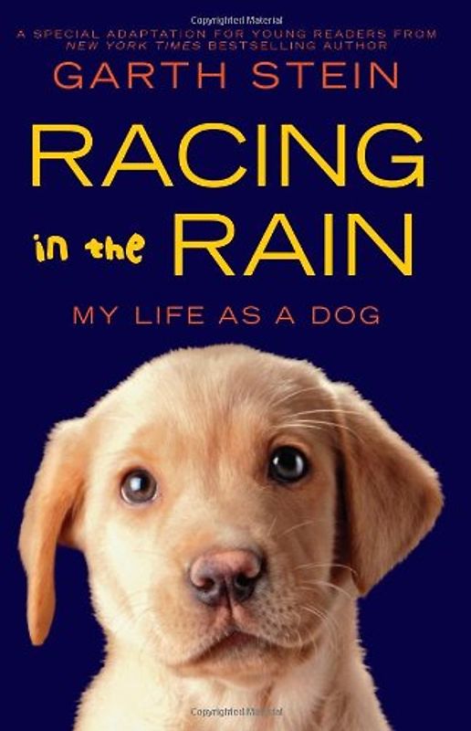 Racing in the Rain: My Life as a Dog - Garth Stein