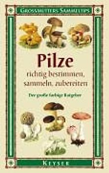 Pilze richtig bestimmen, sammeln, zubereiten