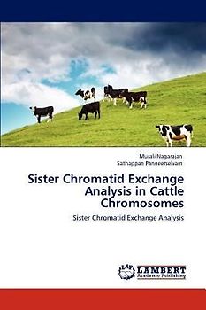 Sister Chromatid Exchange Analysis in Cattle Chromosomes