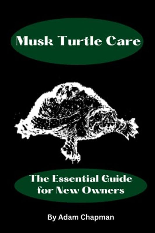 Musk Turtle Care: The Essential Guide for New Owners