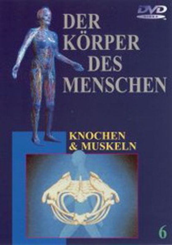 Der Körper des Menschen 6 - Knochen und Muskeln DVD
