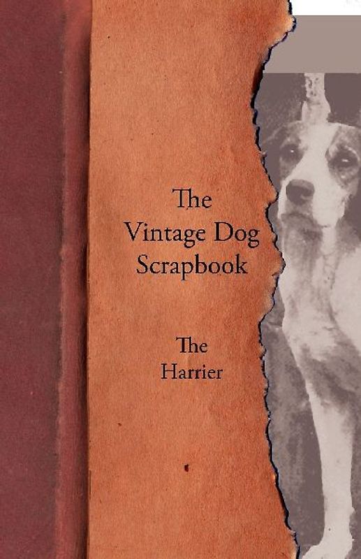 The Vintage Dog Scrapbook - The Harrier
