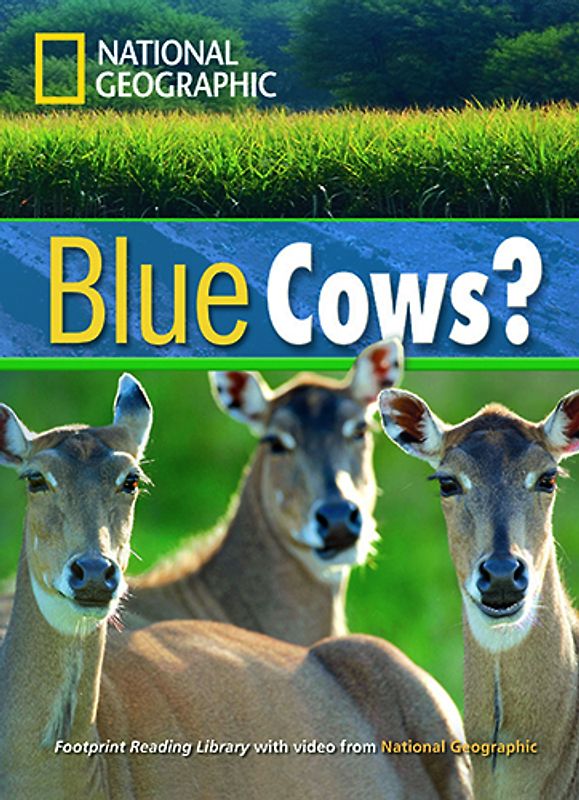 Blue Cows?