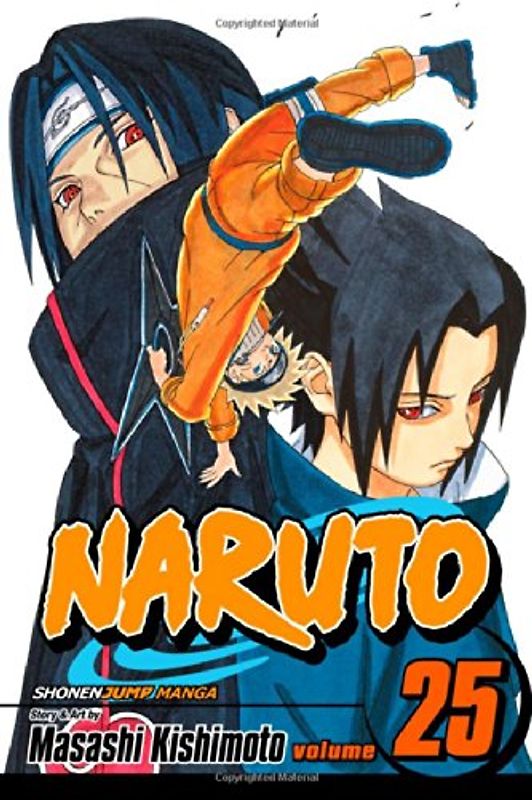 Naruto, Vol. 25: v. 25 - Masashi Kishimoto