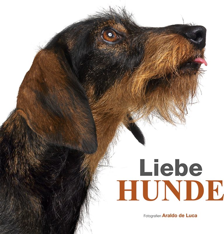 Liebe Hunde