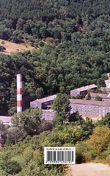 Rheinsteig Wanderführer (Rheinsteig Hiking Guide)