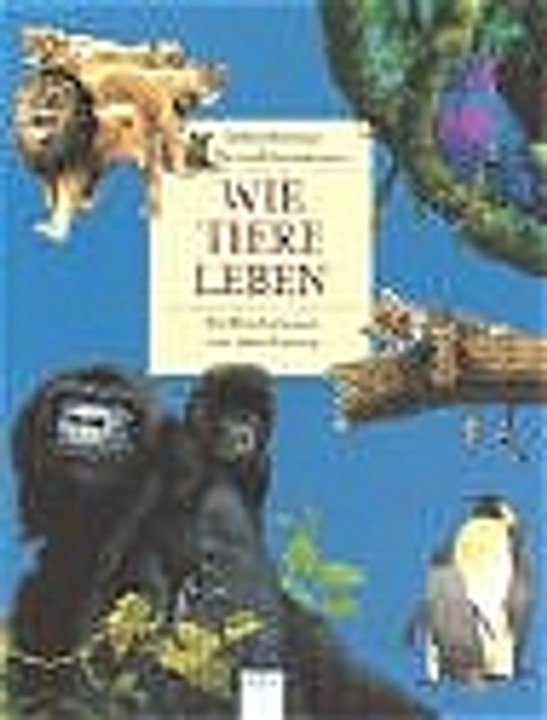 Wie Tiere leben