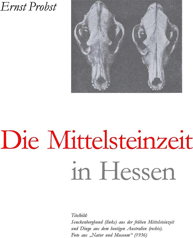 Hessen in der Mittelsteinzeit