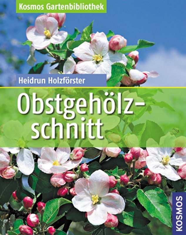 Obstgehölzschnitt