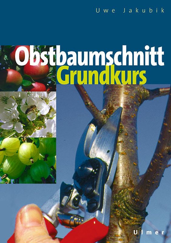 Grundkurs Obstbaumschnitt
