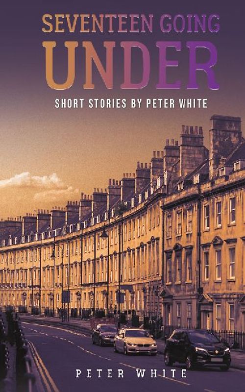 Seventeen Going Under