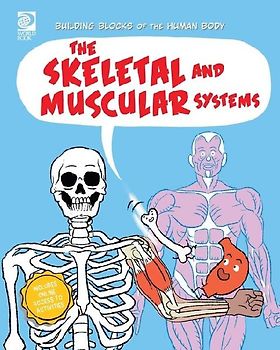 The Skeletal and Muscular Systems