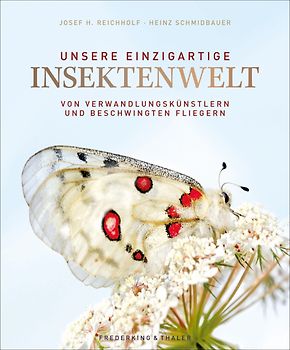 Unsere einzigartige Insektenwelt