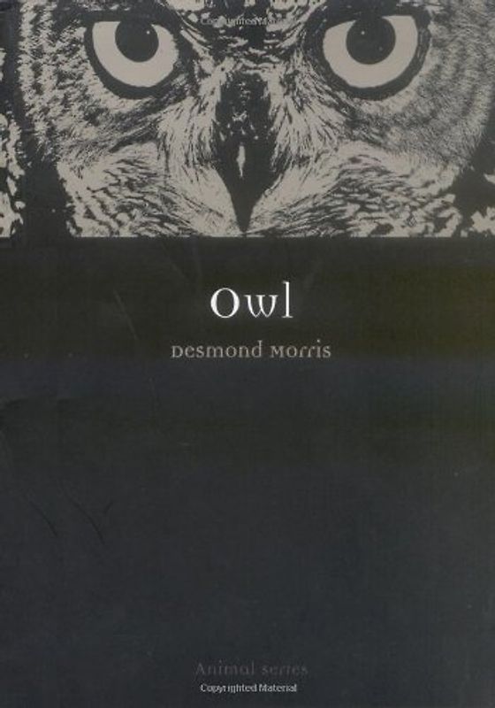 Owl (Animal (Reaktion Books)) - Morris, Desmond