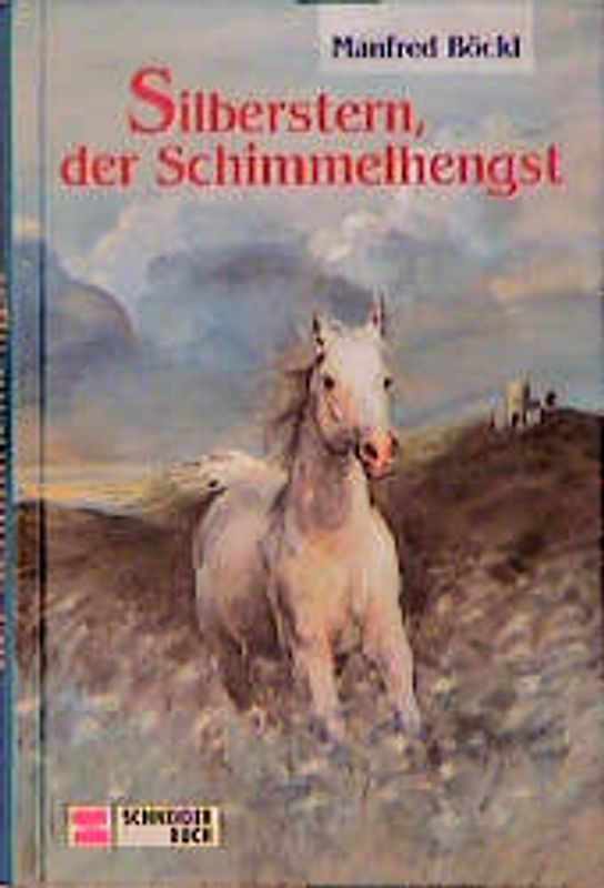 Silberstern der Schimmelhengst
