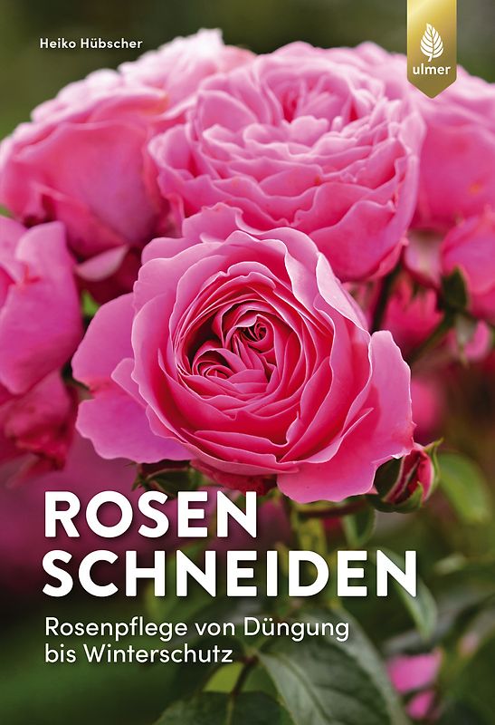 Rosen schneiden