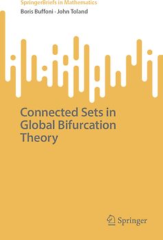 Connected Sets in Global Bifurcation Theory