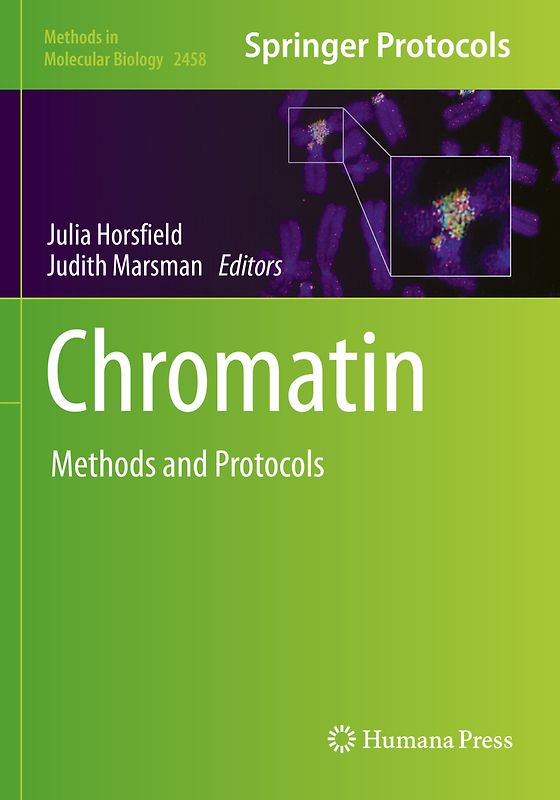 Chromatin