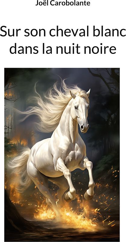 Sur son cheval blanc dans la nuit noire