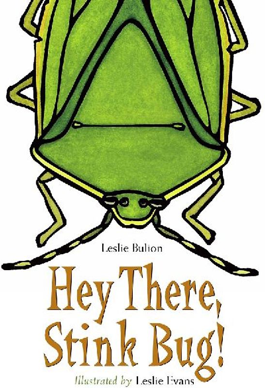 Hey There, Stink Bug!