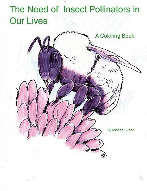 The Need of Insect Pollinators for Our Lives