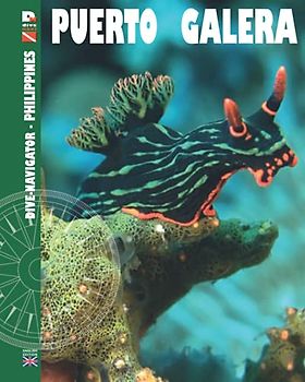 Dive navigator. Philippines. Puerto Galera