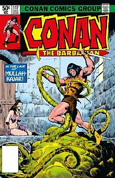 Conan The Barbarian: The Original Comics Omnibus Vol.5