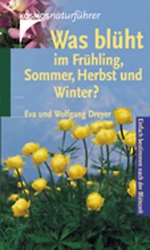 Was blüht im Frühling, Sommer, Herbst und Winter?. Einfach bestimmen nach der Blütezeit