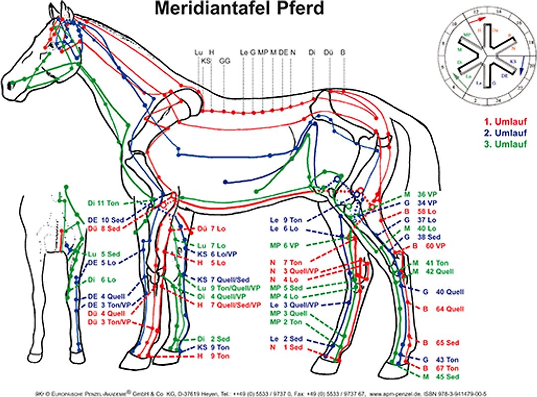 Meridiantafel Pferd