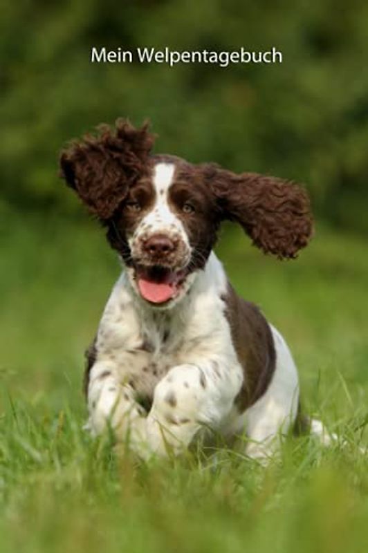 Mein Welpentagebuch: die ersten Monate mit meinem English Springer Spaniel (English Springer Spaniel - alle Bücher: Trainingstagebuch, Krankenakte, BARF Planer und Welpentagebuch, Band 3)