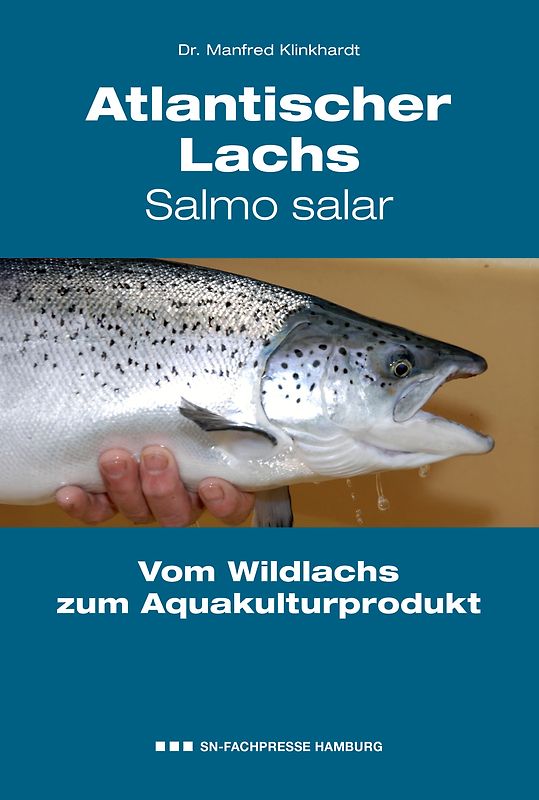 Atlantischer Lachs