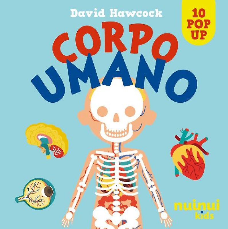 Corpo umano. Sorprendenti pop up