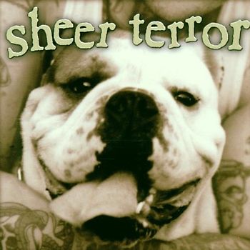 Sheer Terror - Bulldog Edition