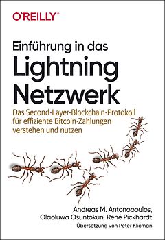 Einführung in das Lightning Netzwerk