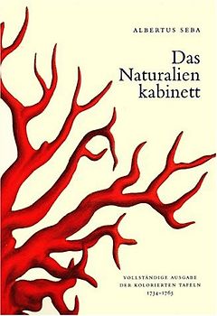 Seba - Das Naturalienkabinett