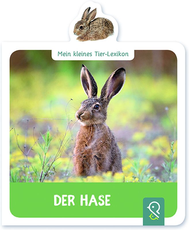 Der Hase