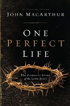 One Perfect Life