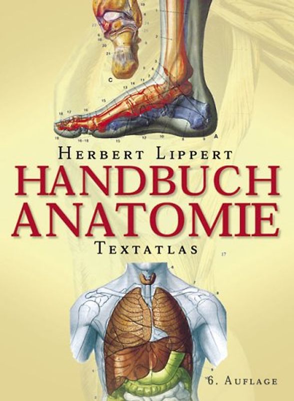 Handbuch Anatomie