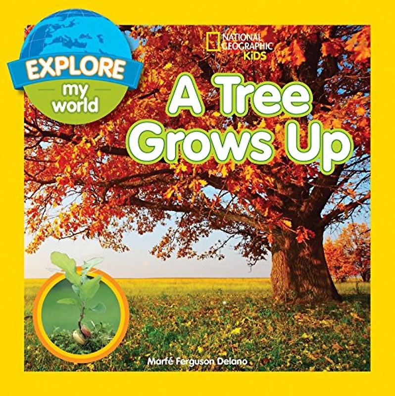 Explore My World A Tree Grows Up
