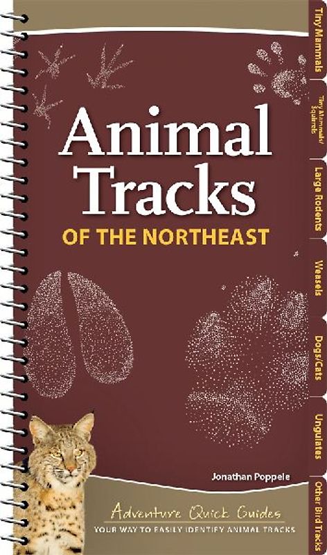 Animal Tracks of the Northeast