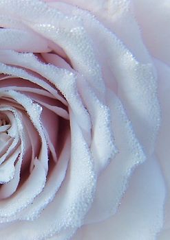 Hochzeitsbuch / Gästebuch