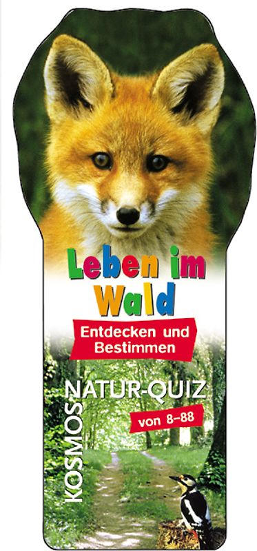 Leben im Wald