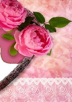 Hochzeitsbuch / Gästebuch