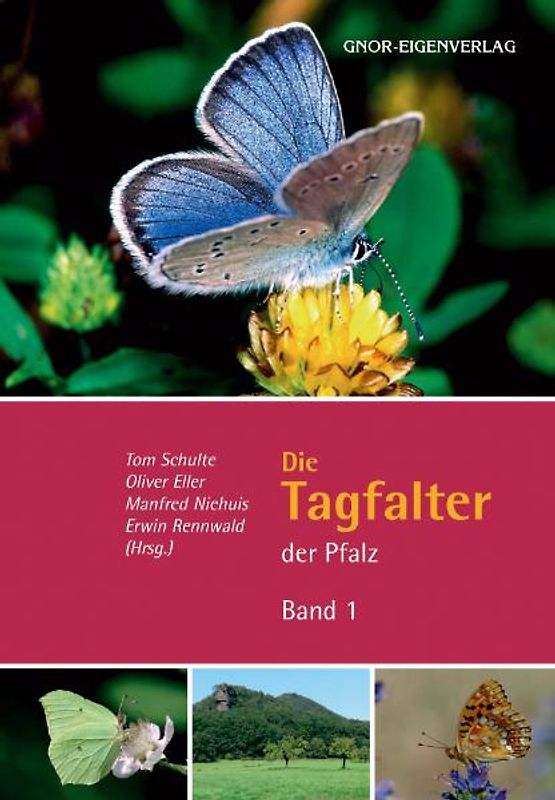 Die Tagfalter der Pfalz - Band 1