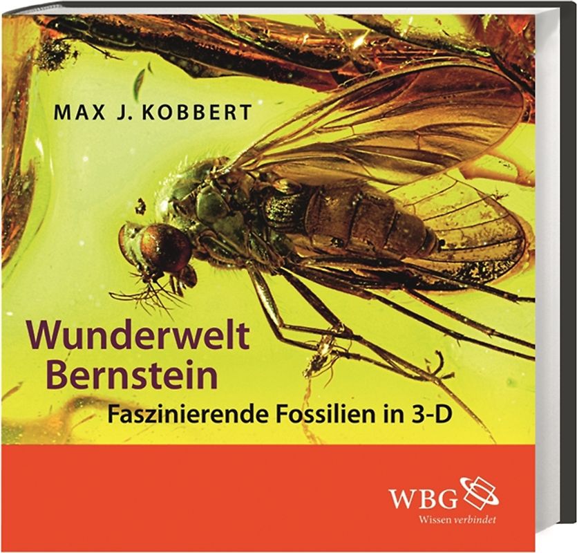 Wunderwelt Bernstein