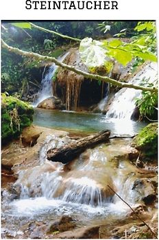 "STEINTAUCHER " Liebesdurstige Beobachtungen eines in die Jahre gekommenen Mannes. Gerade so,als hätte da jemand noch einmal seine Träume an das Firmament gehangen.